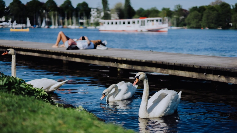 Hamburg Stadtentwicklung